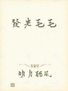 发光毛毛