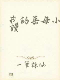 我的岳母小说阅读