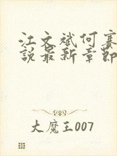 江文斌何赛花小说最新章节更新时间封面