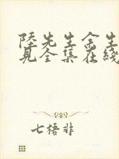 陆先生余生不再见全集在线观看