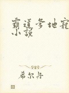 霸道爹地宠又撩小说