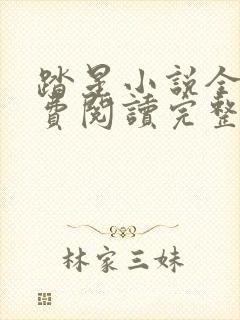 踏星小说全文免费阅读完整版无弹窗