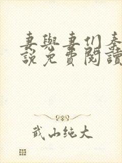 妻与妻们秦岚小说免费阅读最新章节