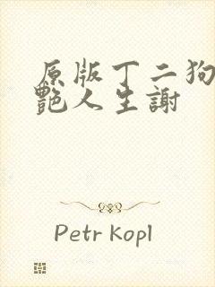 原版丁二狗的猎艳人生谢