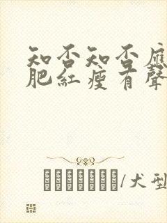 知否知否应是绿肥红瘦有声小说在线收听