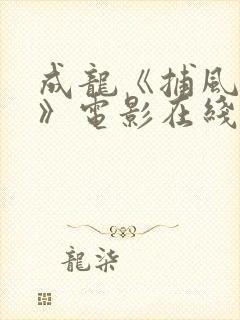 成龙《捕风追影》电影在线