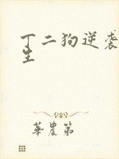 丁二狗逆袭的人生