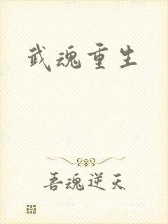 武魂重生封面