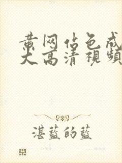 黄网站色成年片大高清视频