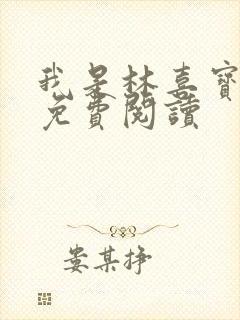 我是林喜宝小说免费阅读封面