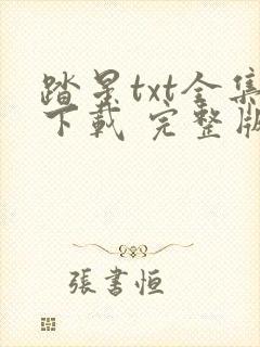 踏星txt全集下载 完整版封面