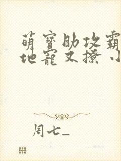 萌宝助攻霸道爹地宠又撩 小说