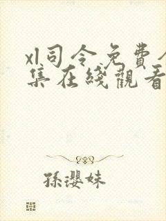 xl司令免费全集在线观看