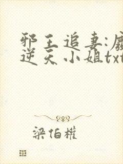 邪王追妻:废材逆天小姐txt