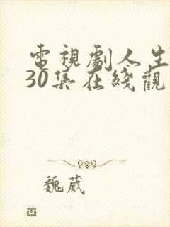 电视剧人生之路30集在线观看免费封面