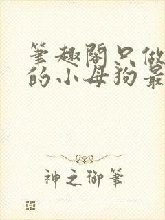 笔趣阁只做爸爸的小母狗最新章节更