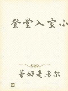 登堂入室小说