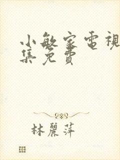 小敏家电视剧全集免费封面