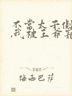 不当太子侧妃后,我被王爷宠成宝在线