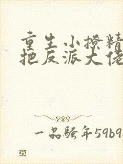 重生小撩精,我把反派大佬宠娇了