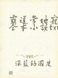 霸道爹地宠又撩全本小说txt下载封面