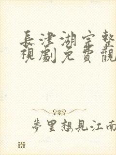 长津湖完整版电视剧免费观看完整版