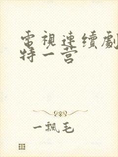 电视连续剧我的特一营封面