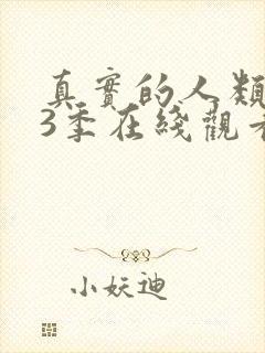 真实的人类 第3季在线观看全集免费播放封面