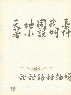 天地同我长生原著小说叫什么封面