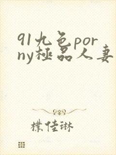 91九色porny极品人妻封面