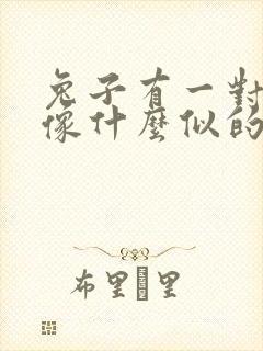 兔子有一对耳朵像什么似的