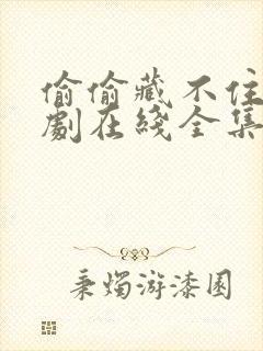 偷偷藏不住电视剧在线全集免费