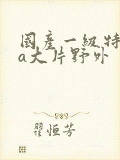 国产一级特黄aa大片野外