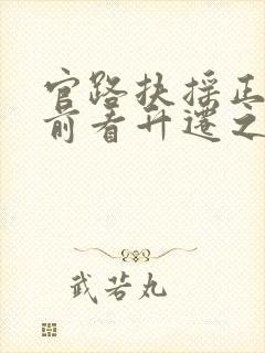 官路扶摇正版超前看升迁之路