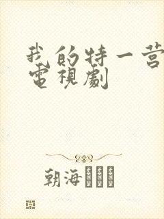 我的特一营完整电视剧封面