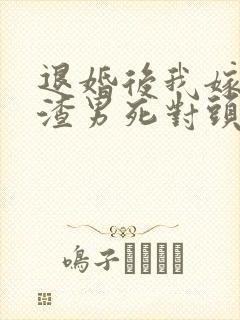 退婚后我嫁给了渣男死对头封面