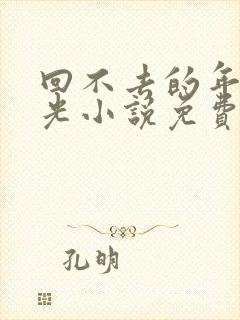 回不去的年少时光小说免费阅读