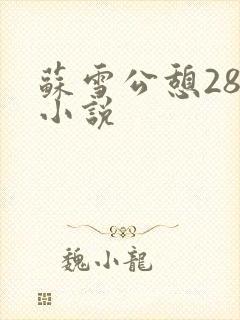 苏雪公憩28篇小说