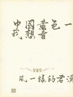 中国黄色一级片我想看