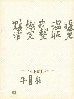 点燃我温暖你高清完整版免费观看