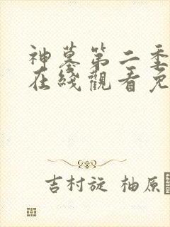 神墓第二季动漫在线观看免费高清完整版