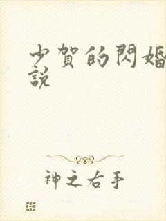 少贺的闪婚暖小说封面