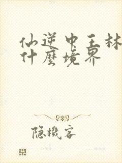 仙逆中王林最后什么境界