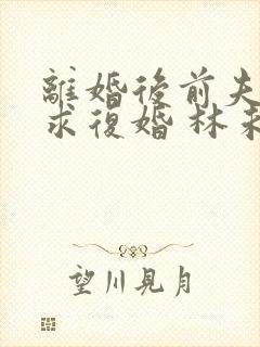 离婚后前夫哭着求复婚 林未央