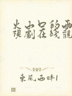 火山口的两人电视剧在线观看封面