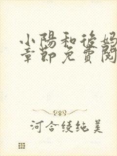 小阳和后妈全部章节免费阅读封面