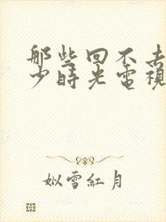 那些回不去的年少时光电视剧演员表封面