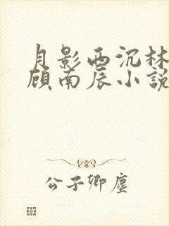月影西沉林晚意顾南辰小说