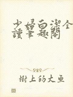 少妇白洁全文阅读笔趣阁封面