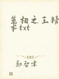 万相之王精校全本txt